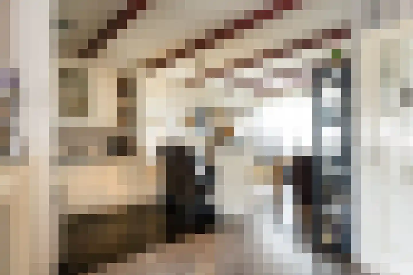 de Leemput 11 Halsteren thumbnail 5