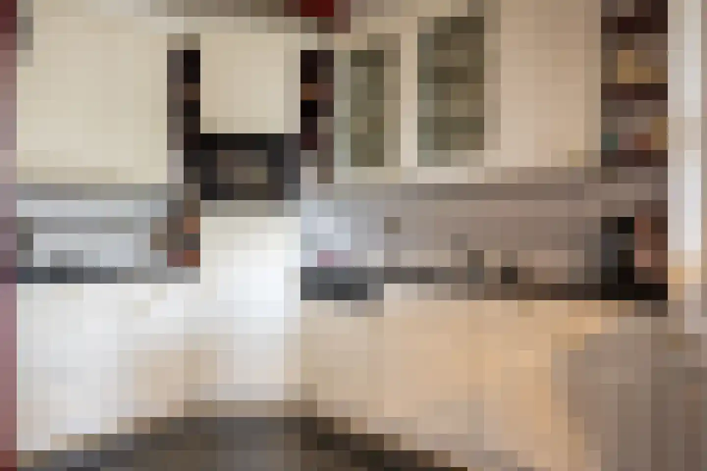 de Leemput 11 Halsteren thumbnail 7