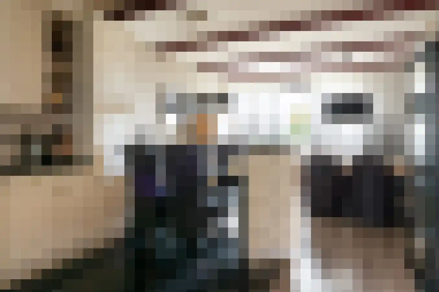 de Leemput 11 Halsteren thumbnail 8