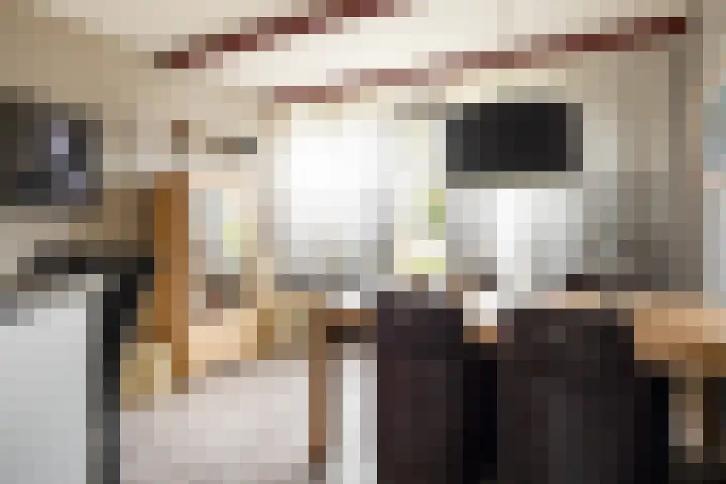 de Leemput 11 Halsteren thumbnail 9