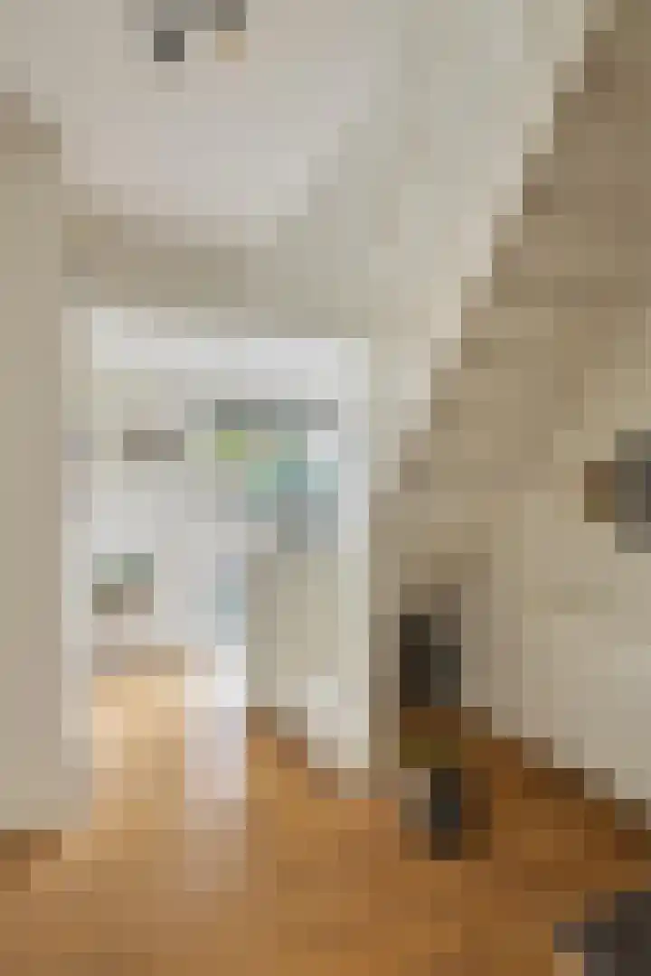 de Leemput 13 Halsteren thumbnail 10