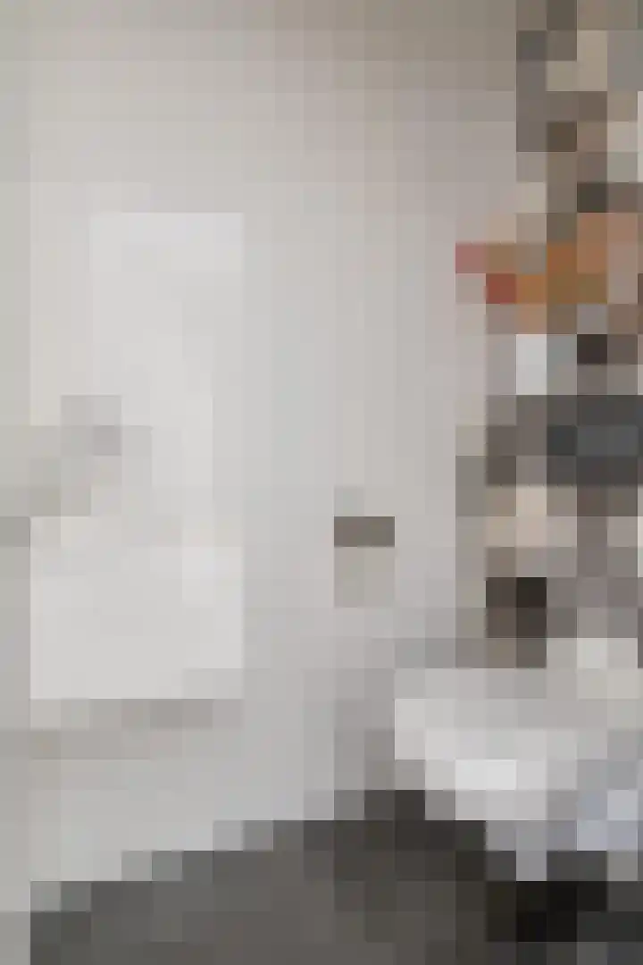 de Leemput 13 Halsteren thumbnail 11