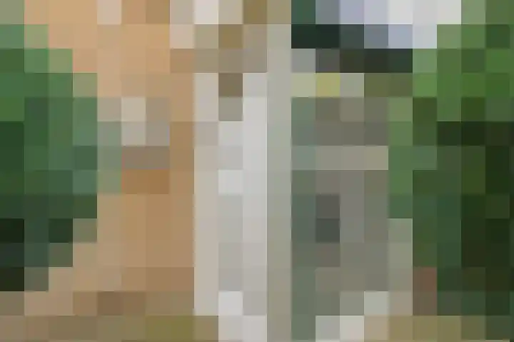 de Leemput 13 Halsteren thumbnail 12