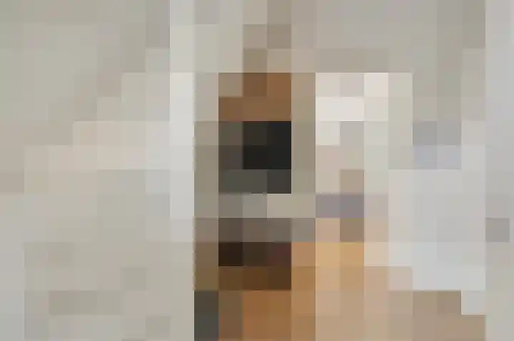 de Leemput 13 Halsteren thumbnail 13
