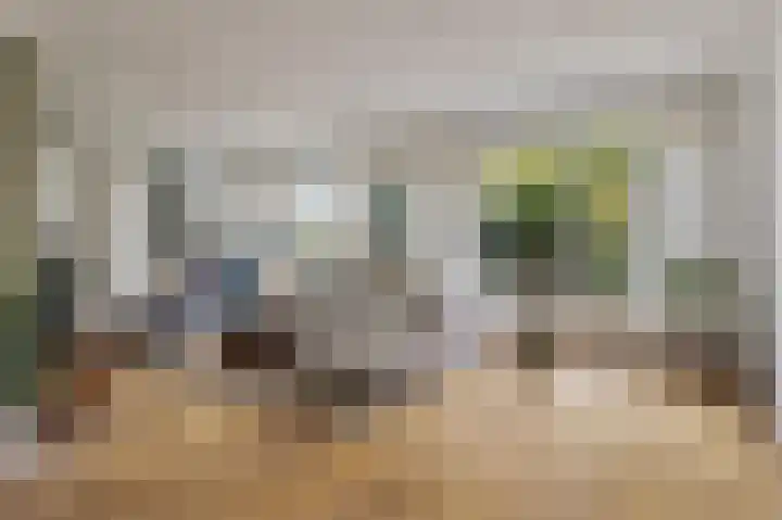 de Leemput 13 Halsteren thumbnail 14