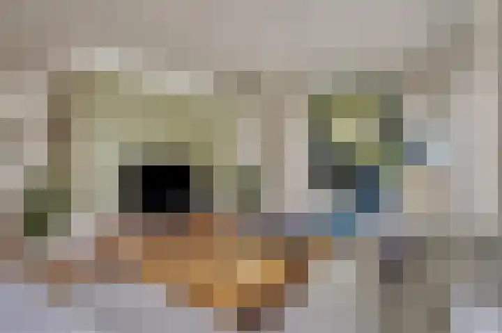 de Leemput 13 Halsteren thumbnail 16
