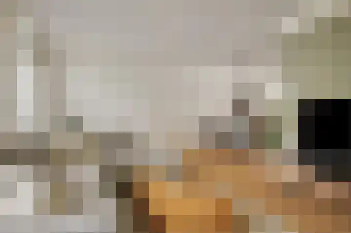 de Leemput 13 Halsteren thumbnail 17
