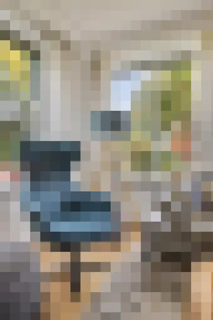 de Leemput 13 Halsteren thumbnail 18