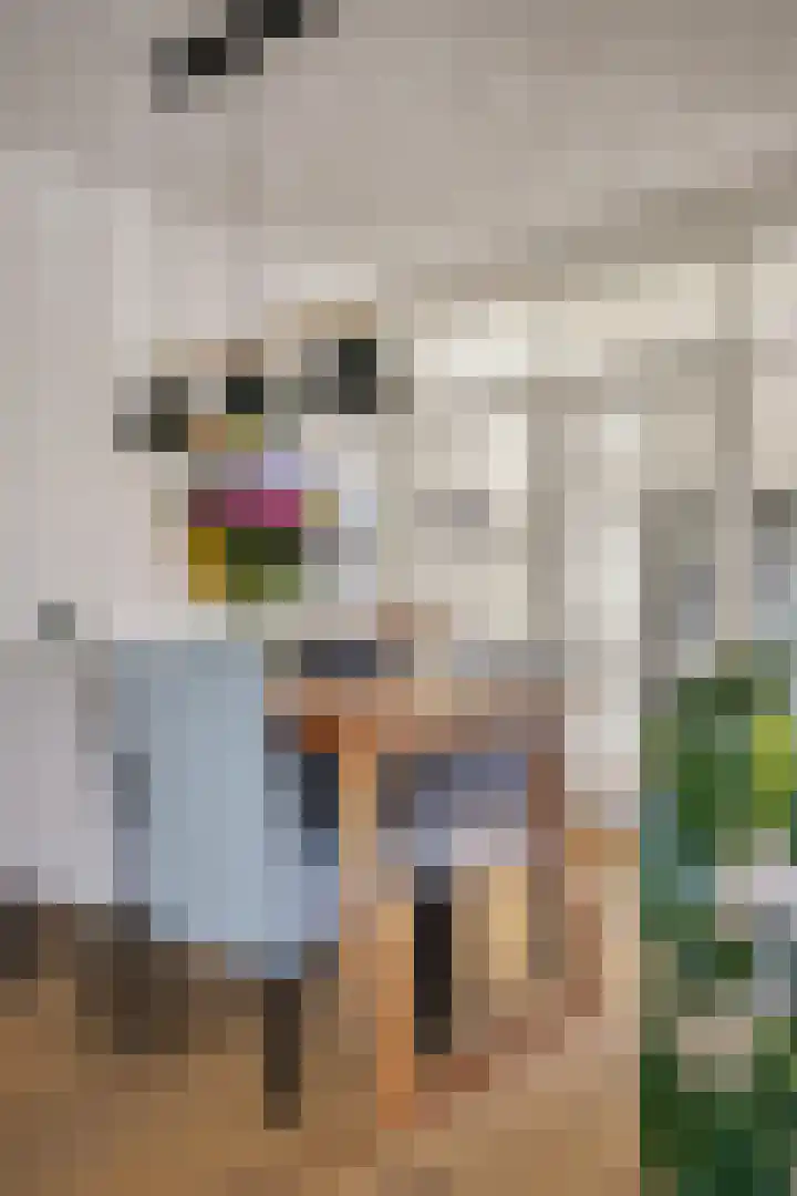 de Leemput 13 Halsteren thumbnail 19