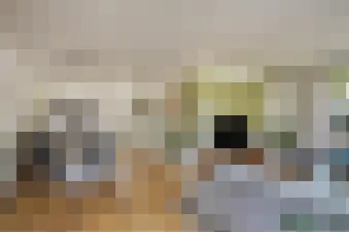 de Leemput 13 Halsteren thumbnail 20