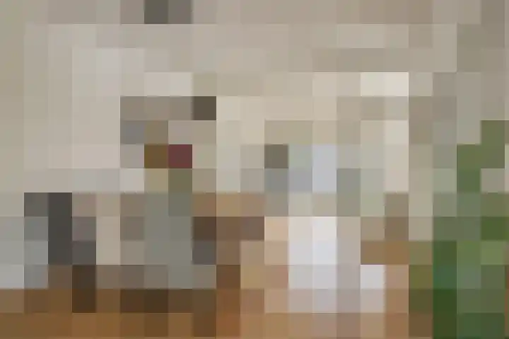 de Leemput 13 Halsteren thumbnail 21