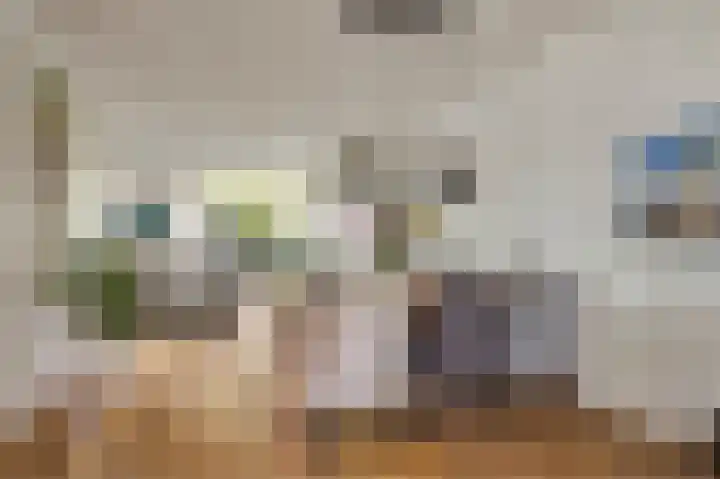 de Leemput 13 Halsteren thumbnail 24