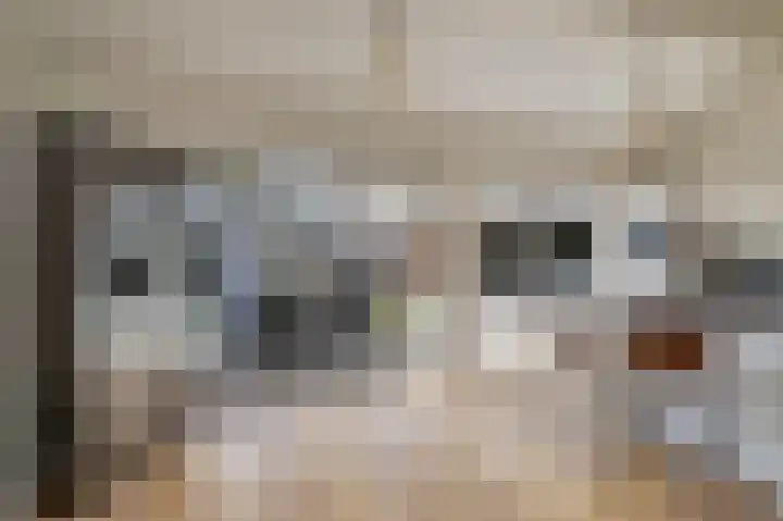 de Leemput 13 Halsteren thumbnail 25