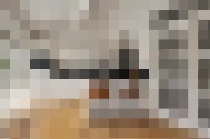 de Leemput 13 Halsteren thumbnail 26