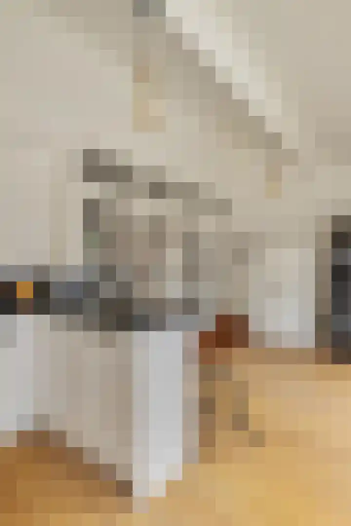 de Leemput 13 Halsteren thumbnail 27
