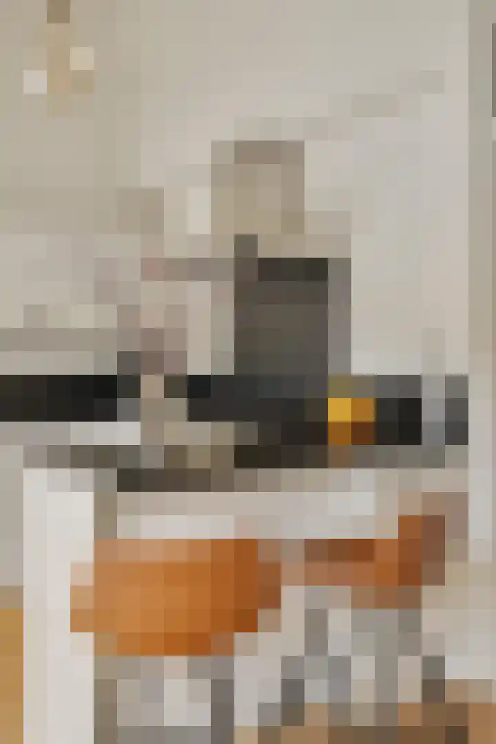 de Leemput 13 Halsteren thumbnail 28