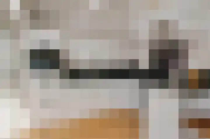 de Leemput 13 Halsteren thumbnail 29