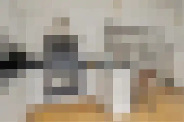de Leemput 13 Halsteren thumbnail 30