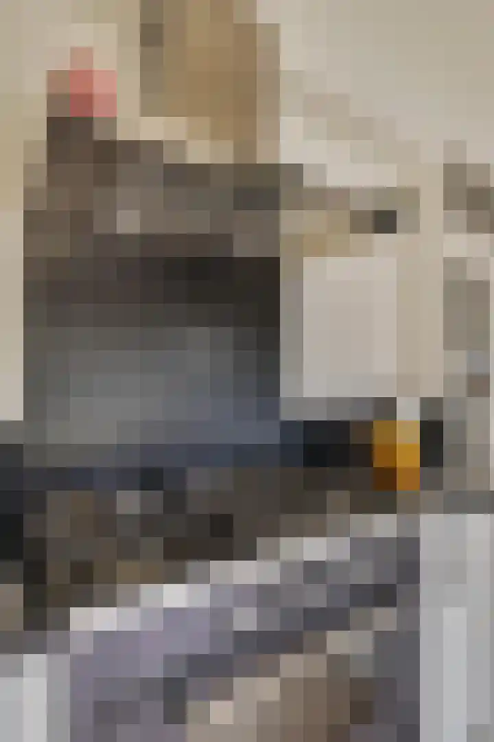 de Leemput 13 Halsteren thumbnail 31