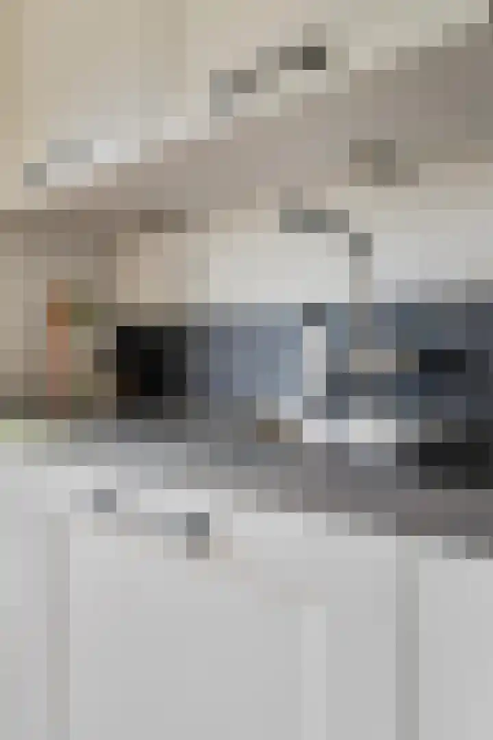 de Leemput 13 Halsteren thumbnail 32
