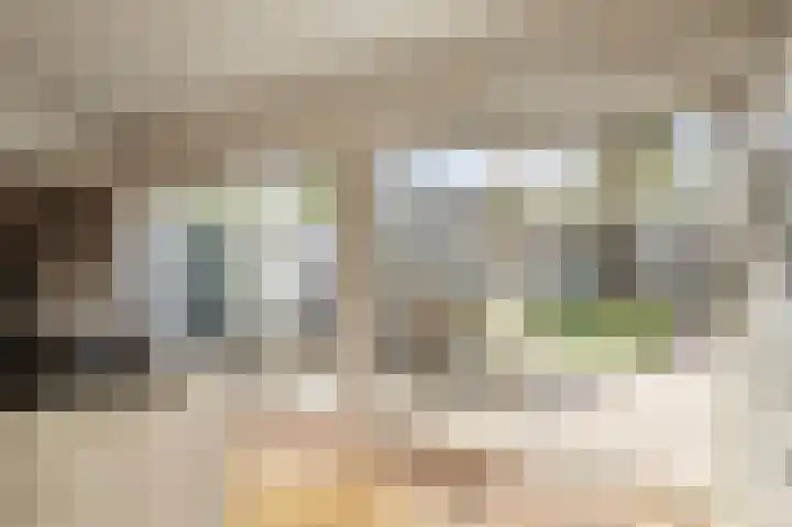 de Leemput 13 Halsteren thumbnail 33