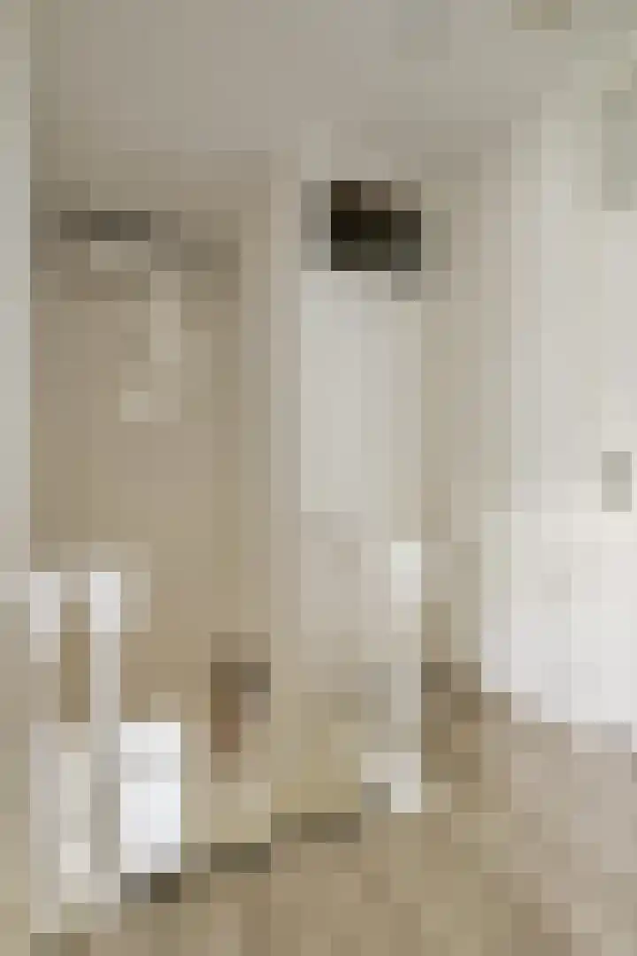 de Leemput 13 Halsteren thumbnail 34