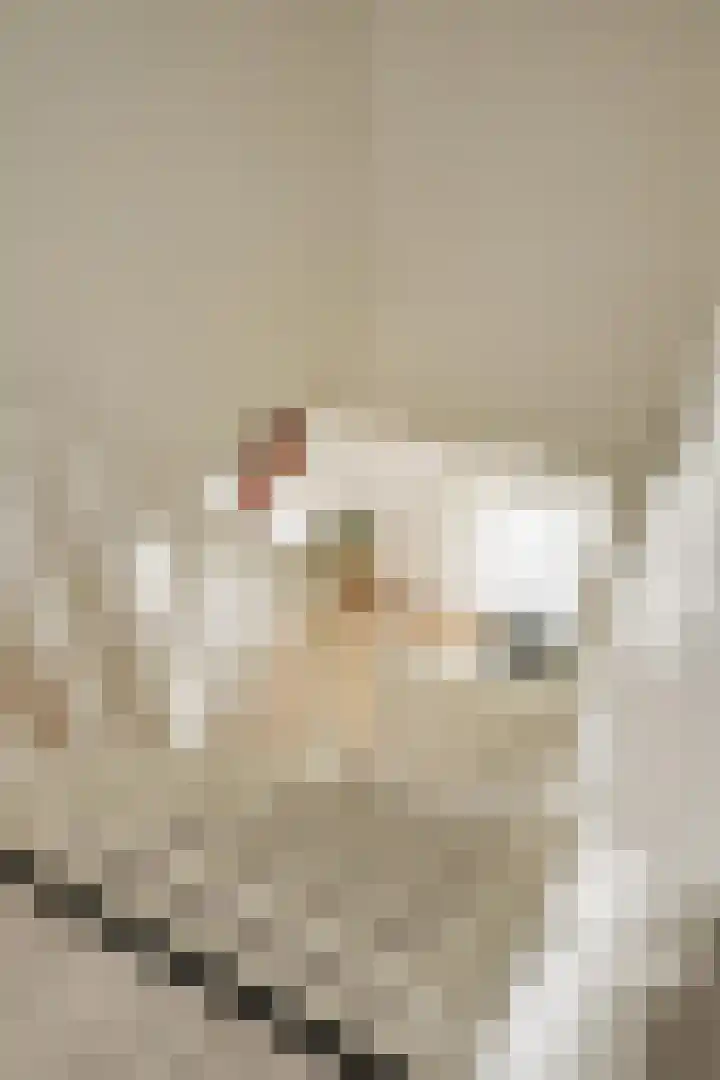 de Leemput 13 Halsteren thumbnail 35