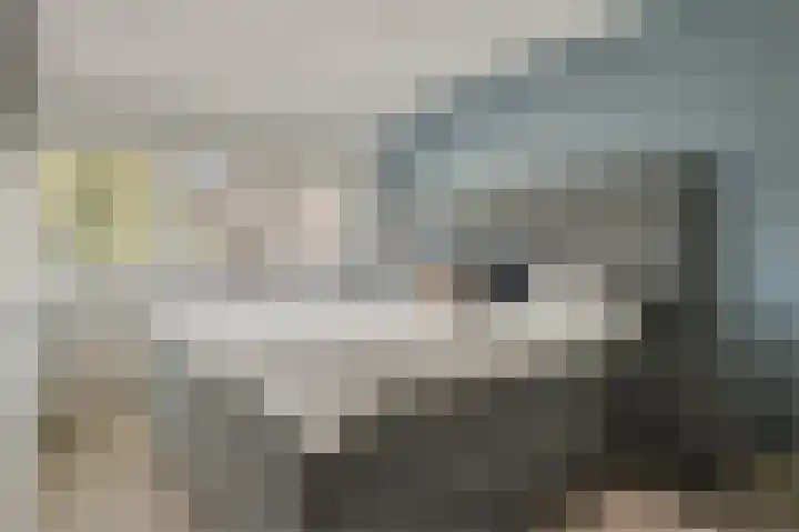 de Leemput 13 Halsteren thumbnail 36