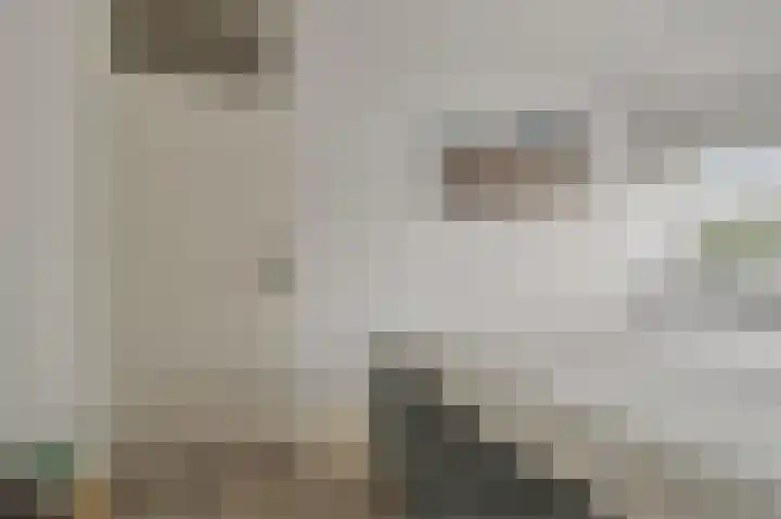 de Leemput 13 Halsteren thumbnail 37
