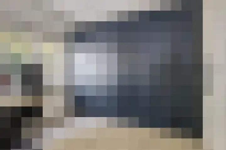 de Leemput 13 Halsteren thumbnail 38