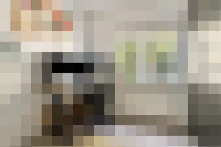 de Leemput 13 Halsteren thumbnail 39