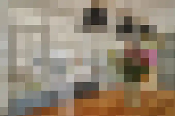 de Leemput 13 Halsteren thumbnail 4