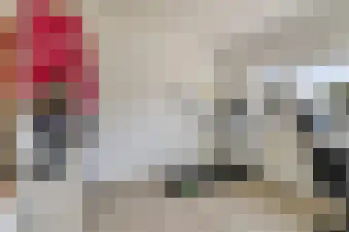 de Leemput 13 Halsteren thumbnail 40
