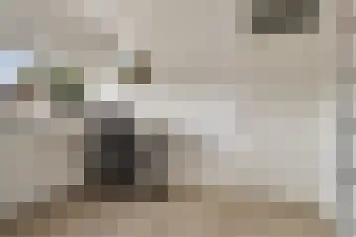 de Leemput 13 Halsteren thumbnail 41