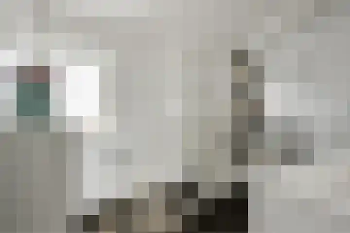 de Leemput 13 Halsteren thumbnail 42