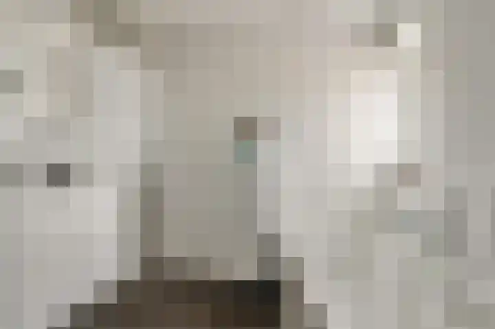 de Leemput 13 Halsteren thumbnail 43