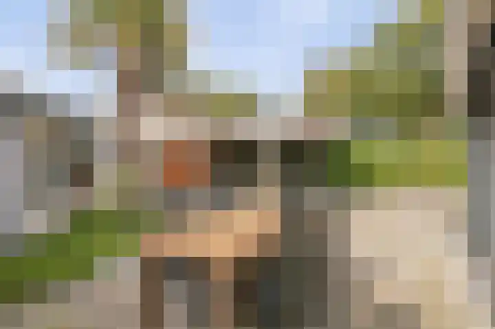 de Leemput 13 Halsteren thumbnail 49