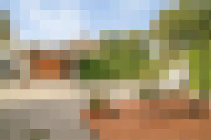 de Leemput 13 Halsteren thumbnail 5