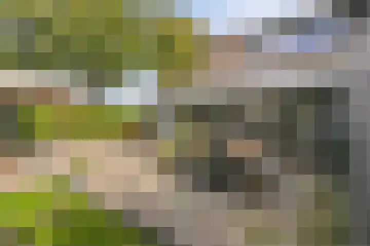 de Leemput 13 Halsteren thumbnail 50