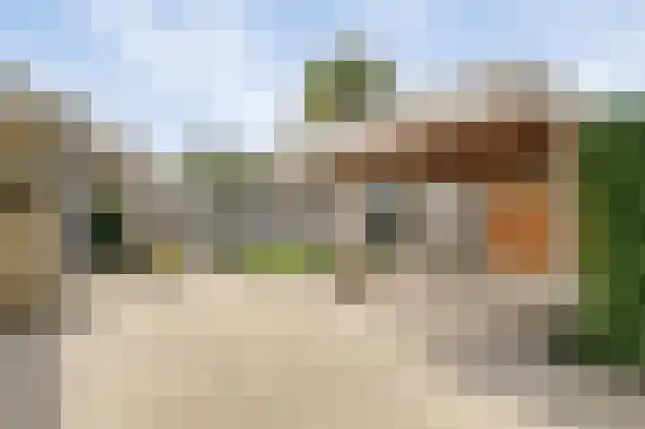 de Leemput 13 Halsteren thumbnail 51