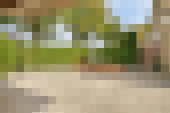 de Leemput 13 Halsteren thumbnail 52