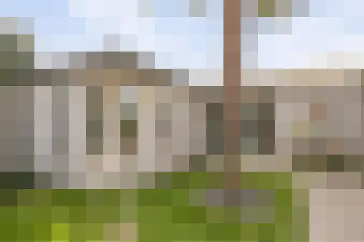 de Leemput 13 Halsteren thumbnail 53