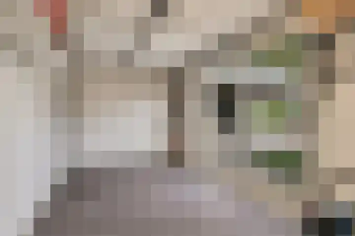 de Leemput 13 Halsteren thumbnail 54