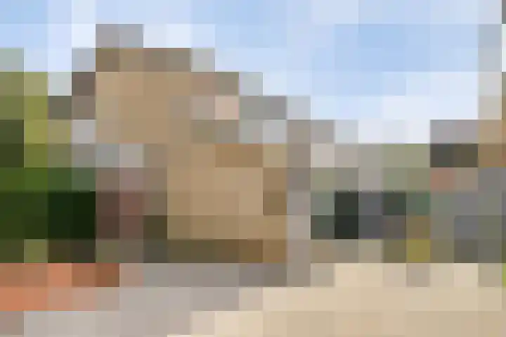 de Leemput 13 Halsteren thumbnail 55