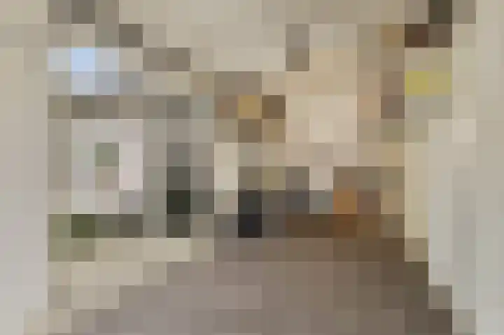 de Leemput 13 Halsteren thumbnail 56