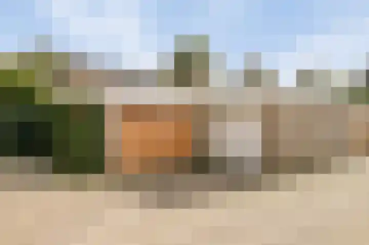 de Leemput 13 Halsteren thumbnail 58