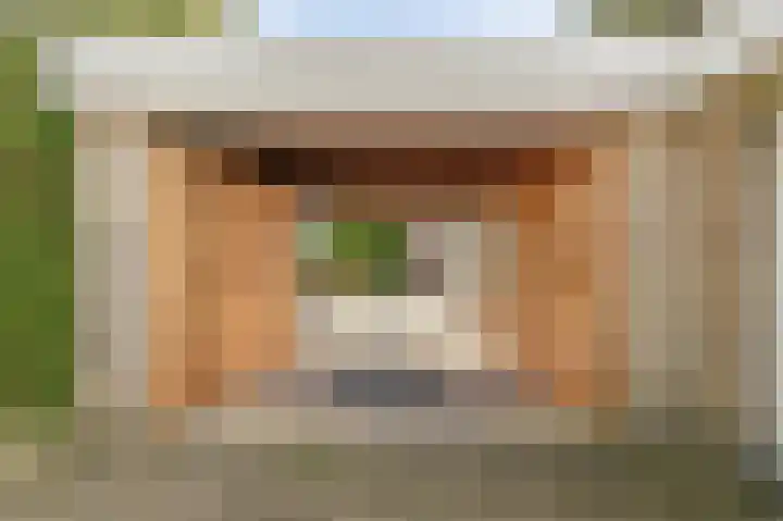 de Leemput 13 Halsteren thumbnail 59