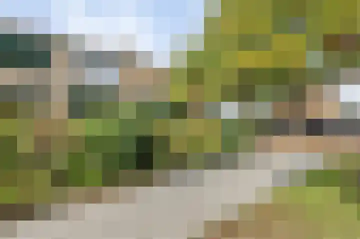 de Leemput 13 Halsteren thumbnail 6