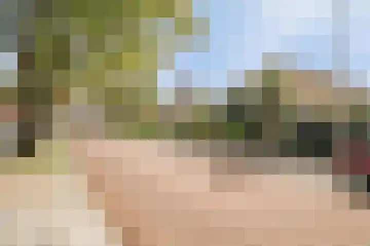 de Leemput 13 Halsteren thumbnail 61