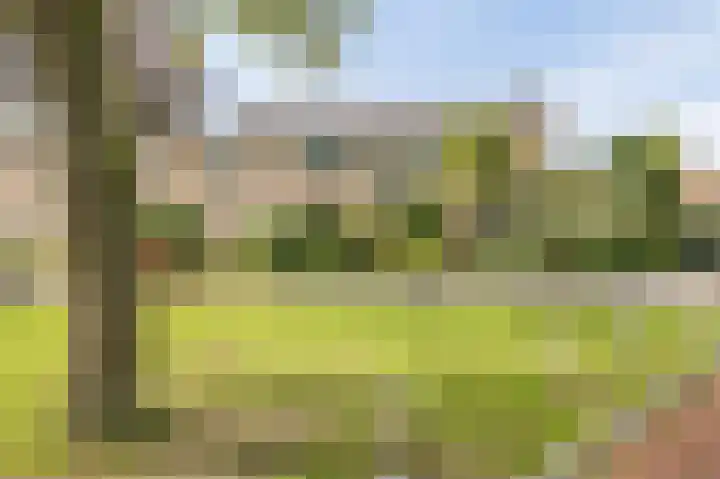 de Leemput 13 Halsteren thumbnail 62